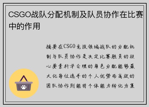 CSGO战队分配机制及队员协作在比赛中的作用